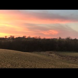 Meet your Posher, Bucky